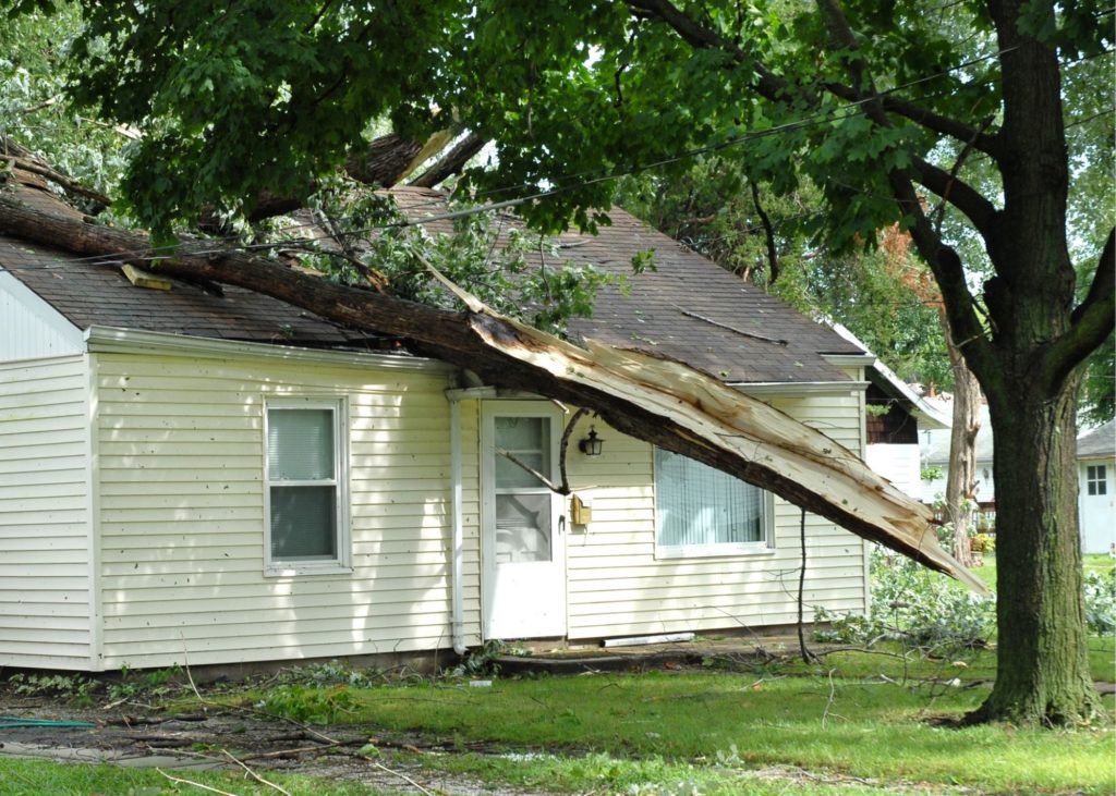 tree that has fallen on a house from wind damage