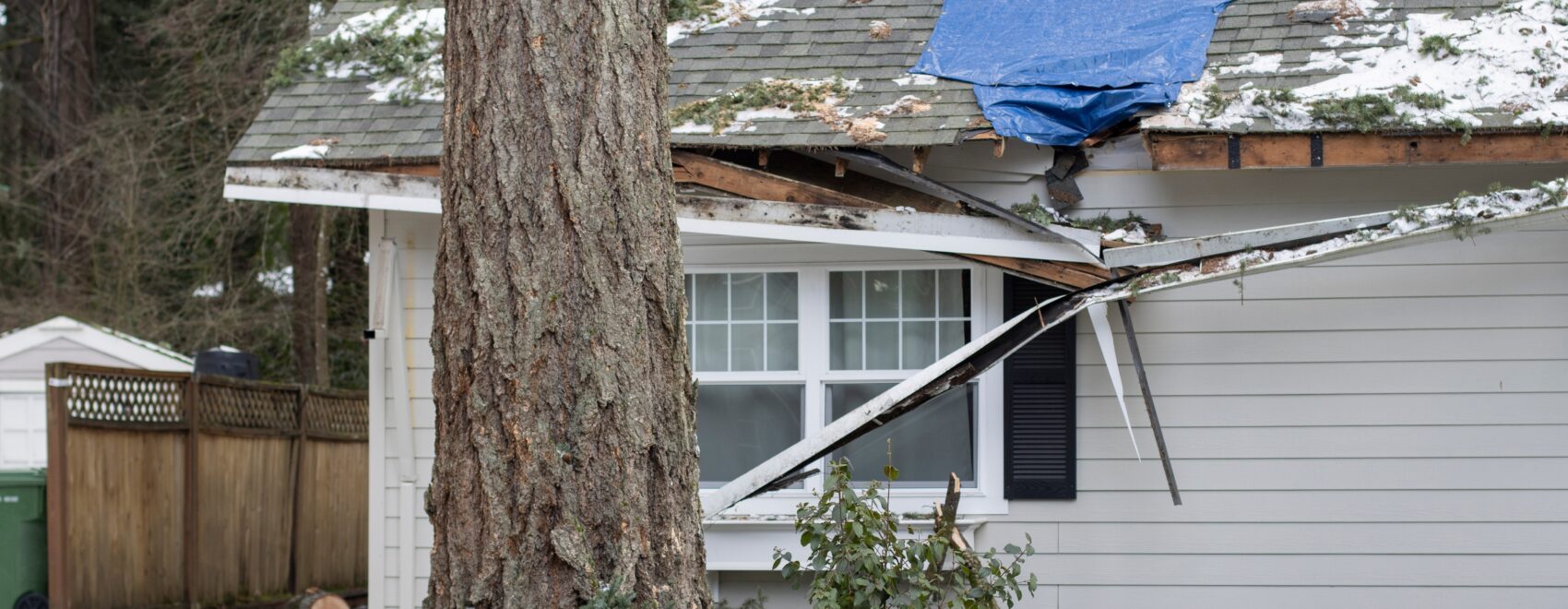 How a Property Damage Lawyer Can Help With Wind Damage Cases