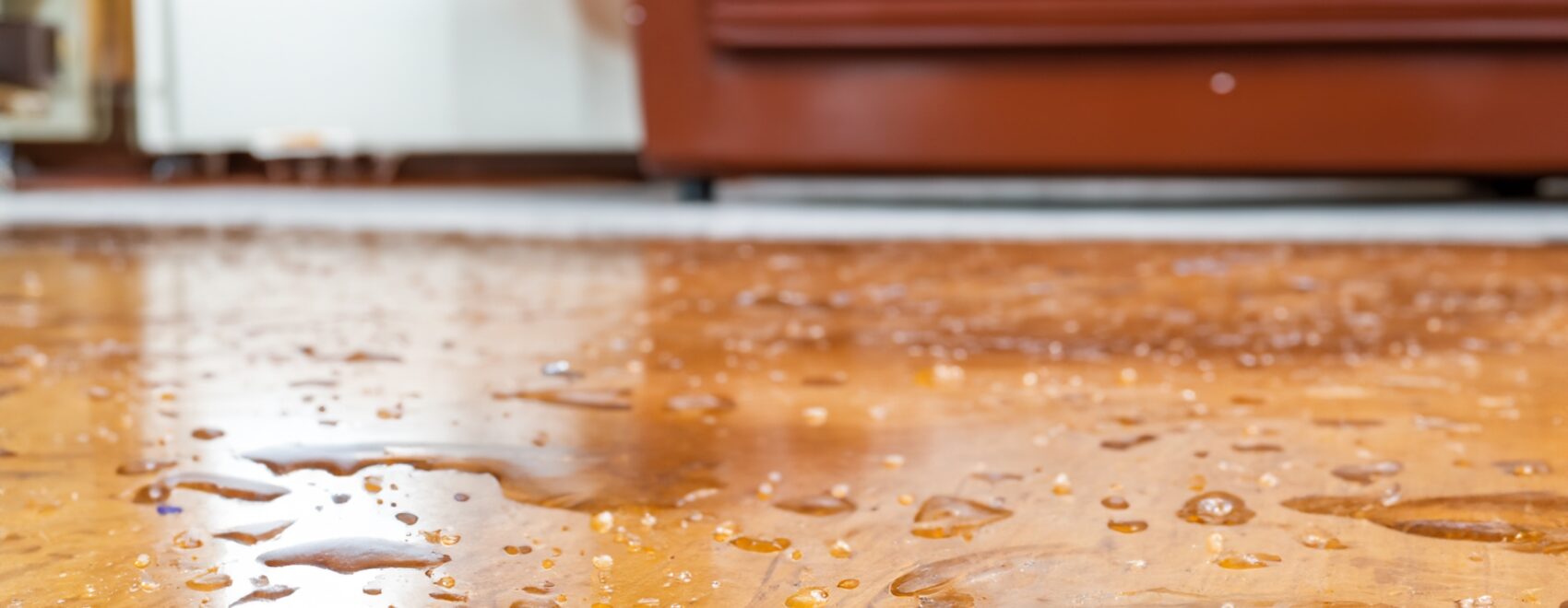 How a Lawyer Can Help with Water Damage Insurance Claims