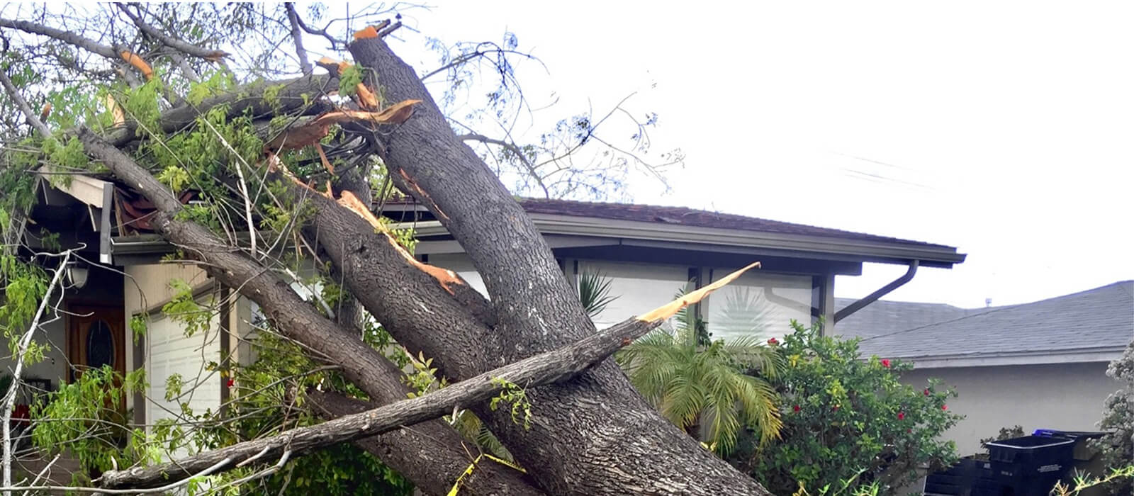 Denied or Underpaid Property Damage Claim?